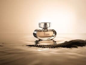 "Speedy" notre aligator se parfume chez Lacoste.